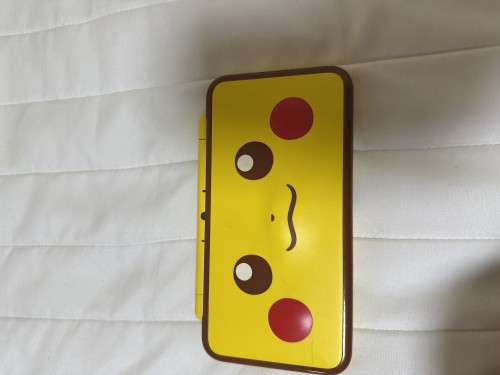 닌텐도 2ds xl 피카츄에디션
